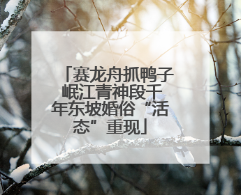 赛龙舟抓鸭子 岷江青神段千年东坡婚俗“活态”重现