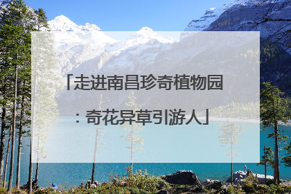 走进南昌珍奇植物园：奇花异草引游人