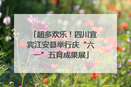 超多欢乐！四川宜宾江安县举行庆“六一”五育成果展