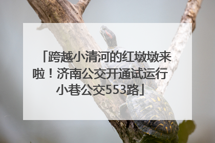 跨越小清河的红墩墩来啦！济南公交开通试运行小巷公交553路