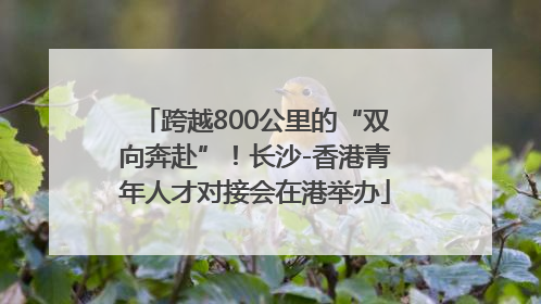跨越800公里的“双向奔赴”！长沙-香港青年人才对接会在港举办