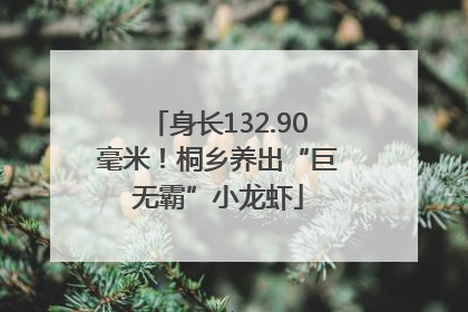 身长132.90毫米！桐乡养出“巨无霸”小龙虾