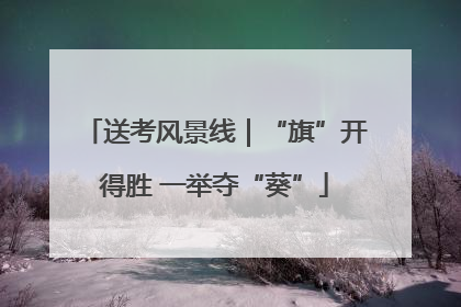 送考风景线｜“旗”开得胜 一举夺“葵”