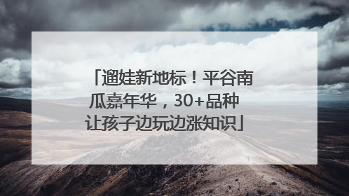 遛娃新地标！平谷南瓜嘉年华，30+品种让孩子边玩边涨知识