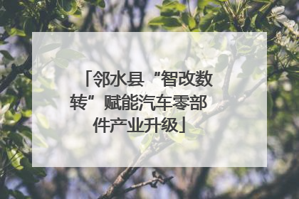 邻水县“智改数转”赋能汽车零部件产业升级
