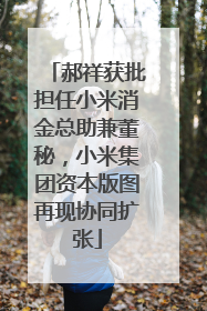 郝祥获批担任小米消金总助兼董秘，小米集团资本版图再现协同扩张