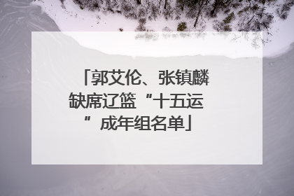 郭艾伦、张镇麟缺席辽篮“十五运”成年组名单