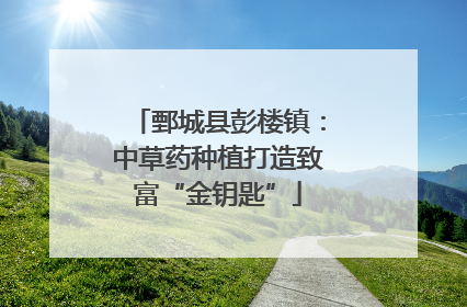 鄄城县彭楼镇：中草药种植打造致富“金钥匙”