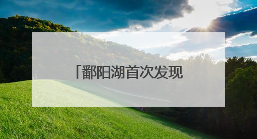 鄱阳湖首次发现彩鹮筑巢繁殖