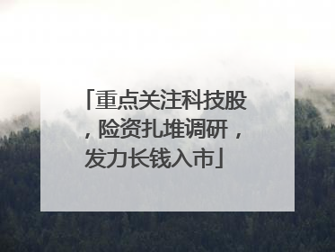 重点关注科技股，险资扎堆调研，发力长钱入市