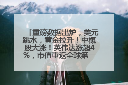重磅数据出炉，美元跳水，黄金拉升！中概股大涨！英伟达涨超4%，市值重返全球第一！黄仁勋计划出售至多600万股股票