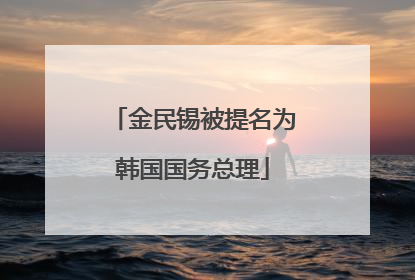 金民锡被提名为韩国国务总理