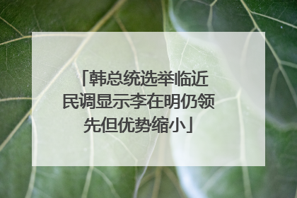 韩总统选举临近 民调显示李在明仍领先但优势缩小