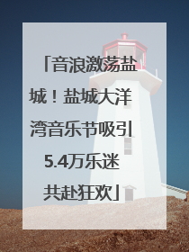 音浪激荡盐城！盐城大洋湾音乐节吸引5.4万乐迷共赴狂欢