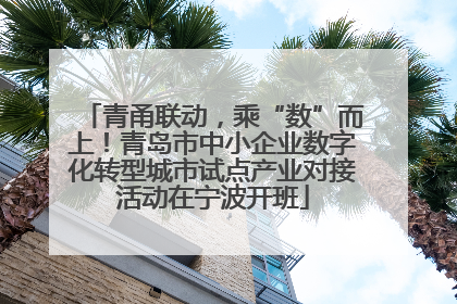 青甬联动，乘“数”而上！青岛市中小企业数字化转型城市试点产业对接活动在宁波开班