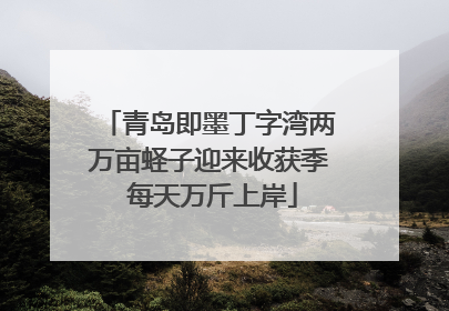 青岛即墨丁字湾两万亩蛏子迎来收获季 每天万斤上岸