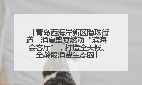 青岛西海岸新区隐珠街道：消夏盛宴燃动“滨海会客厅”，打造全天候、全龄段消费生态圈