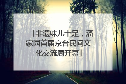 非遗味儿十足，潘家园首届京台民间文化交流周开幕