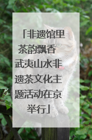 非遗馆里茶韵飘香 武夷山水非遗茶文化主题活动在京举行