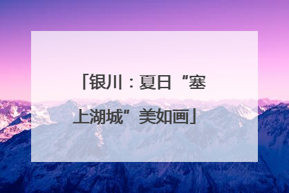 银川：夏日“塞上湖城”美如画