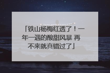 铁山杨梅红透了！一年一遇的酸甜风暴 再不来就真错过了