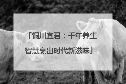 铜川宜君：千年养生智慧烹出时代新滋味