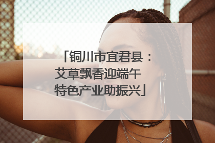 铜川市宜君县：艾草飘香迎端午 特色产业助振兴