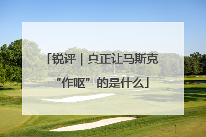 锐评｜真正让马斯克“作呕”的是什么
