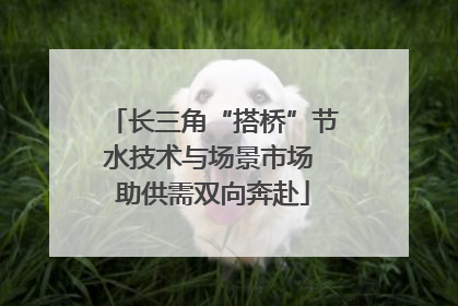 长三角“搭桥”节水技术与场景市场 助供需双向奔赴