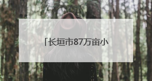 长垣市87万亩小麦开镰收割 机械化作业保障夏粮归仓
