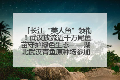 长江“美人鱼”领衔！武汉放流近千万尾鱼苗守护绿色生态——湖北武汉青鱼原种场参加2025年“全国放鱼日”增殖放流活动