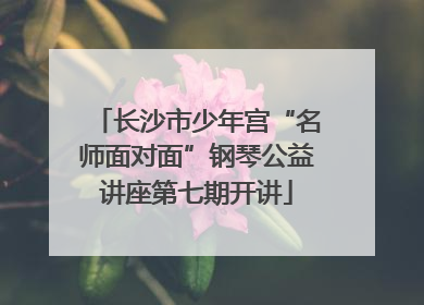 长沙市少年宫“名师面对面”钢琴公益讲座第七期开讲