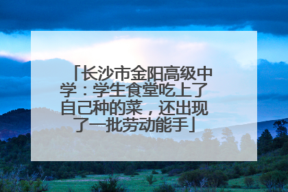 长沙市金阳高级中学：学生食堂吃上了自己种的菜，还出现了一批劳动能手