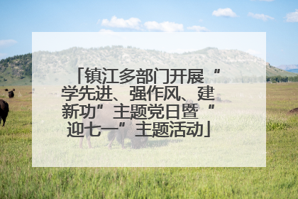 镇江多部门开展“学先进、强作风、建新功”主题党日暨“迎七一”主题活动