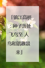 镇江高桥：种子落处飞鸟至 人鸟和谐趣景来