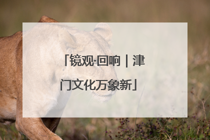 镜观·回响｜津门文化万象新