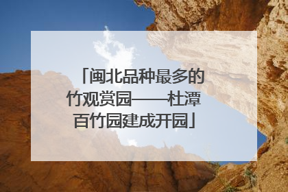 闽北品种最多的竹观赏园——杜潭百竹园建成开园