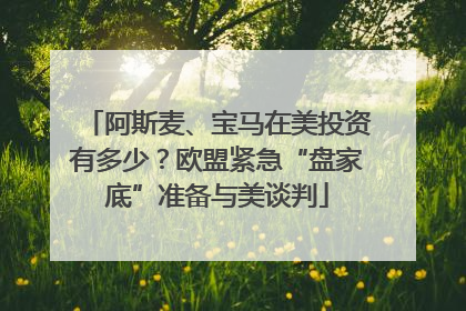 阿斯麦、宝马在美投资有多少？欧盟紧急“盘家底”准备与美谈判