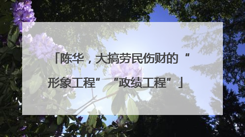 陈华，大搞劳民伤财的“形象工程”“政绩工程”