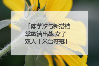 陈芋汐与新搭档掌敏洁出战 女子双人十米台夺冠