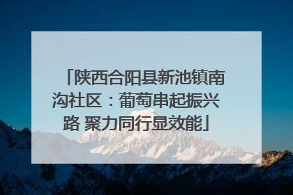 陕西合阳县新池镇南沟社区：葡萄串起振兴路 聚力同行显效能