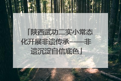 陕西武功二实小常态化开展非遗传承——非遗沉淀自信底色
