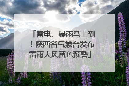 雷电、暴雨马上到！陕西省气象台发布雷雨大风黄色预警