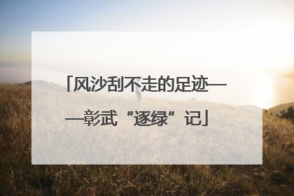 风沙刮不走的足迹——彰武“逐绿”记