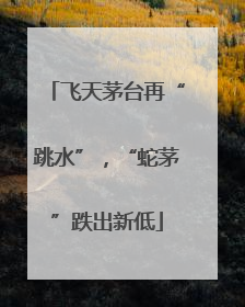 飞天茅台再“跳水”，“蛇茅”跌出新低