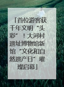 首位游客获千年文明“头彩”！大河村遗址博物馆新馆“文化和自然遗产日”璀璨启幕