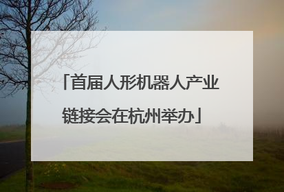 首届人形机器人产业链接会在杭州举办