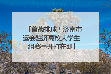 首战排球！济南市运会驻济高校大学生组赛事开打在即