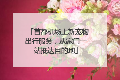 首都机场上新宠物出行服务，从家门一站抵达目的地