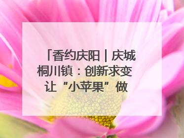 香约庆阳｜庆城桐川镇：创新求变 让“小苹果”做成“大产业”